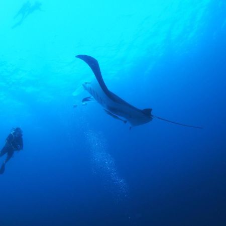 Unwind Dhigurah Hotel Dhigurah  Buitenkant foto