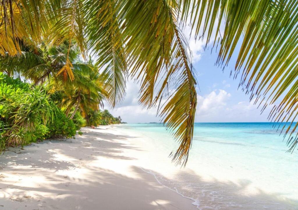 Unwind Dhigurah Hotel Dhigurah  Buitenkant foto