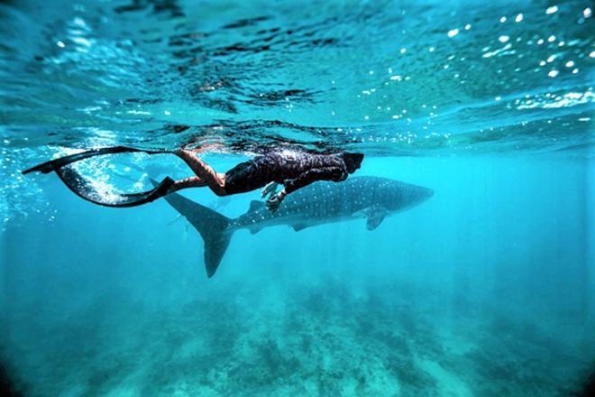Unwind Dhigurah Hotel Dhigurah  Buitenkant foto